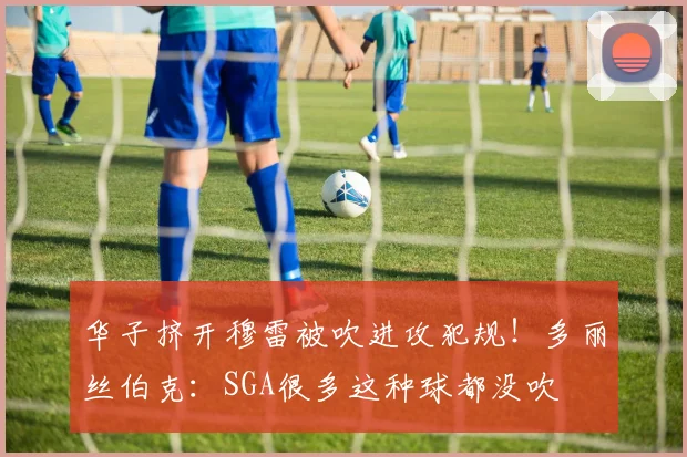 华子挤开穆雷被吹进攻犯规！多丽丝伯克：SGA很多这种球都没吹