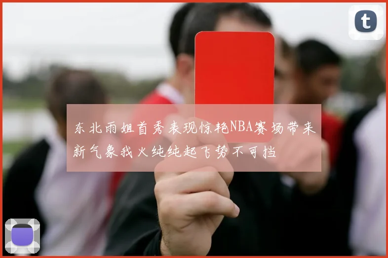 东北雨姐首秀表现惊艳NBA赛场带来新气象我火纯纯起飞势不可挡
