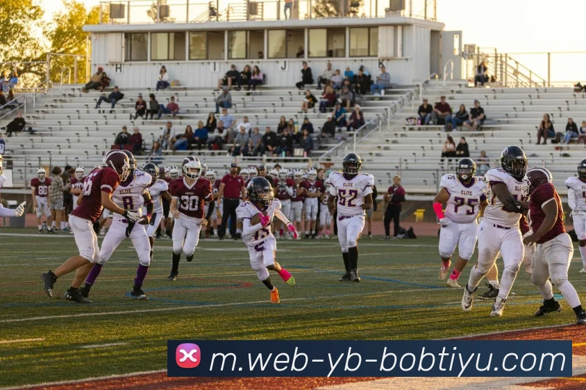 BOB体育发展历程